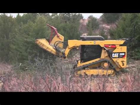 skid steer cedar eater|Ranchland Development .